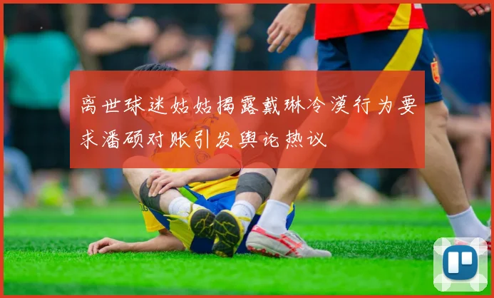 离世球迷姑姑揭露戴琳冷漠行为要求潘硕对账引发舆论热议