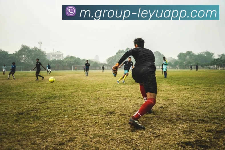 乐鱼体育服务体系